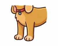 front legs